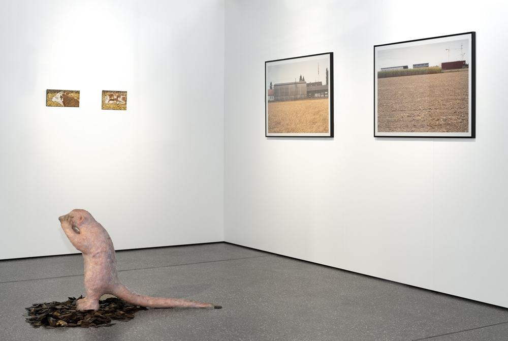 wolfgang mennel kult kunst eger junghanss fender DSC9295